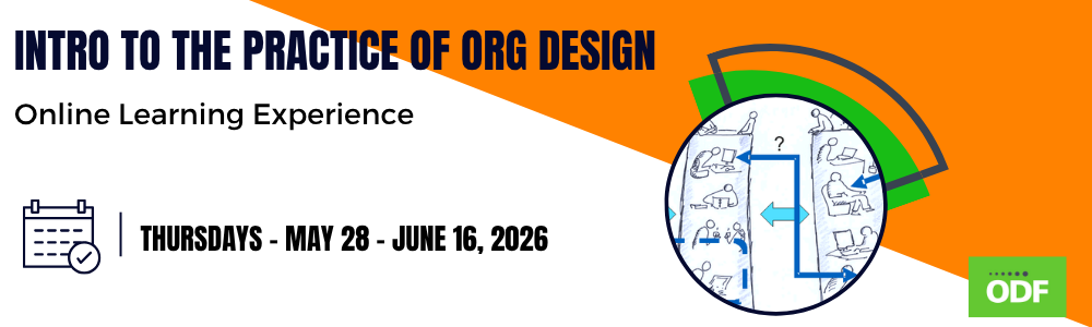 Introduction to the Practice of Organization Design